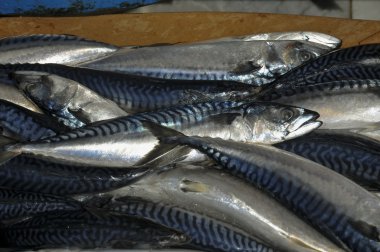 Sale of mackerel in a market. clipart