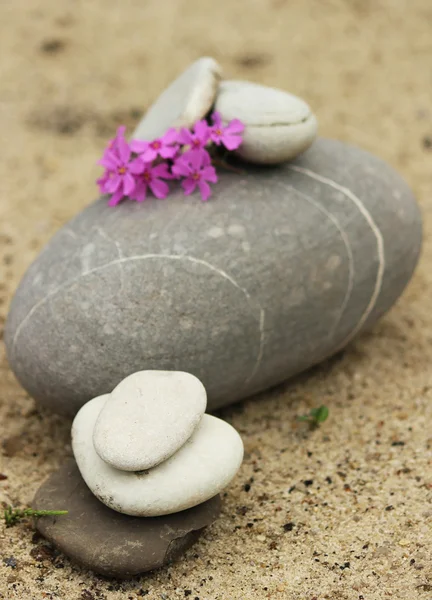 Meditatie stenen — Stockfoto