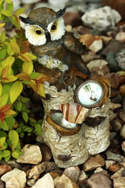 kütük üzerinde baykuş