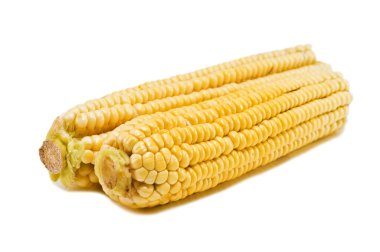 Two corns clipart