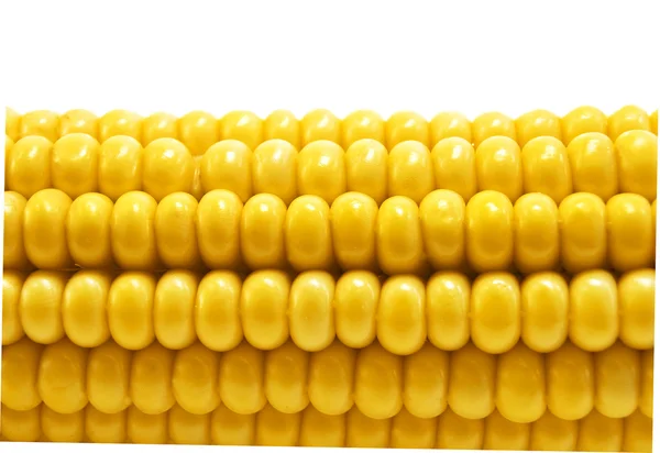 Maïs op wit — Stockfoto