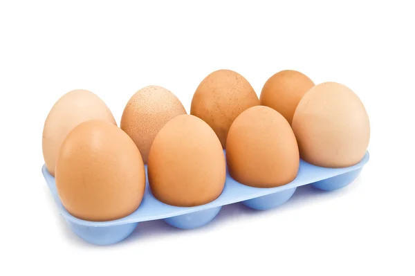 계란 흰색 — 스톡 사진