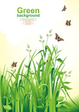 Spring background. Green grass. clipart