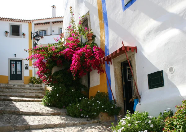 stock image Obidos Street