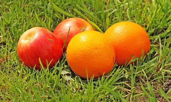 Яблука і апельсини — стокове фото