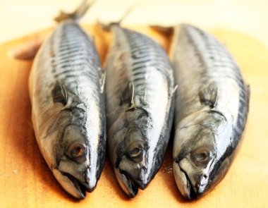 Three raw mackerels on the chopping board clipart