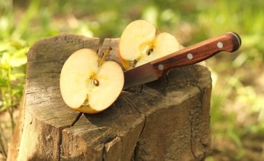 A knife and a cutted apple on a stump clipart