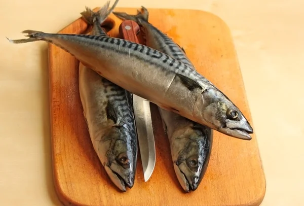 Three raw mackerels on the chopping board — Stock Photo, Image