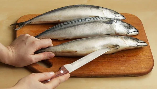 stock image Three raw mackerels on the chopping board