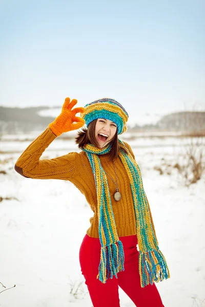 Die junge Frau im Winter im Schnee lizenzfreie Stockbilder