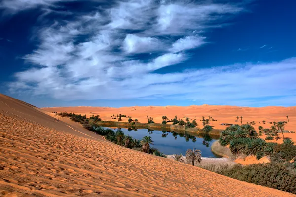 Oasi-Wüste Stockfoto