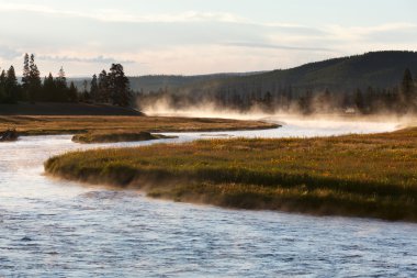 Yellowstone