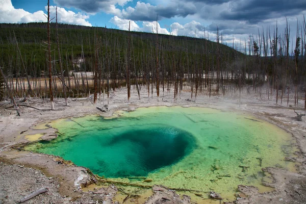 Yellowstone — Stock Photo, Image