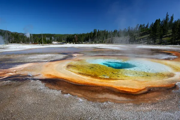 Yellowstone Stock Picture