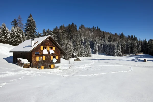 Χειμερινές διακοπές σε χιονισμένες αγροτικές περιοχές — Φωτογραφία Αρχείου