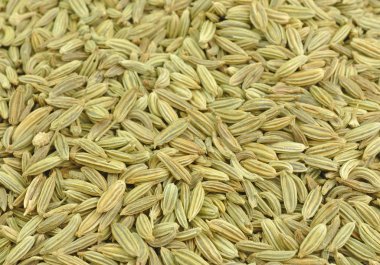 Fennel seeds clipart