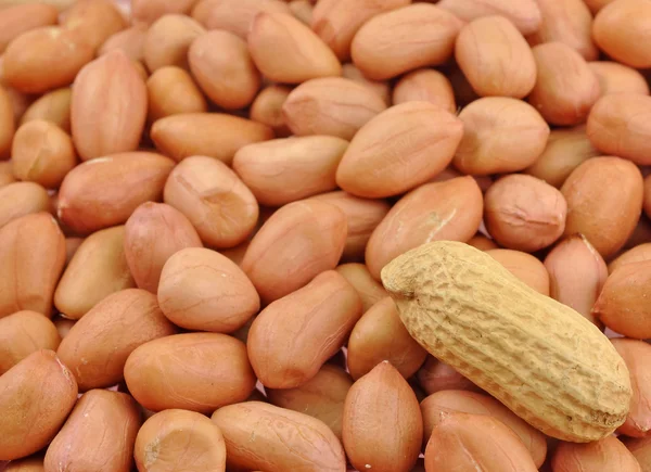 Hele belgen med peanøtter – stockfoto