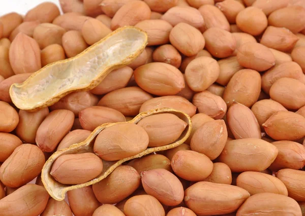 Seeds and split pod of ground nut — Stock Photo, Image