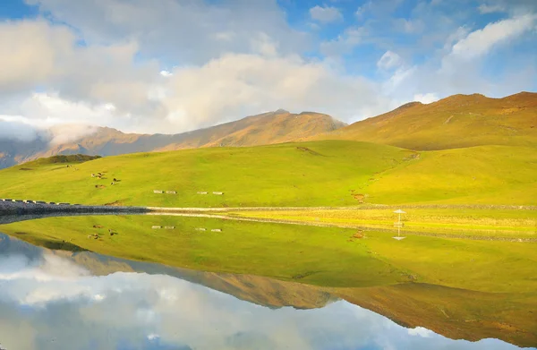 Reflection of meadow in a lake — Stock Photo, Image