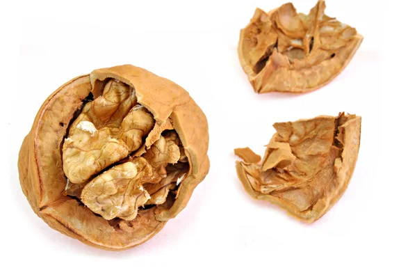 Ořech s napůl otevřené shell — Stock fotografie