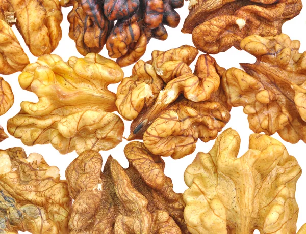 Jedlá část ořech — Stock fotografie