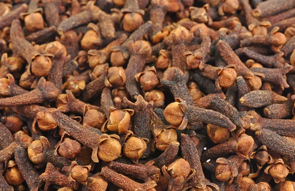 Pile of buds of clove — Stock Photo, Image