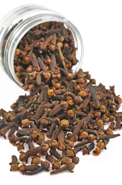 Clove in a container — Stock Photo, Image