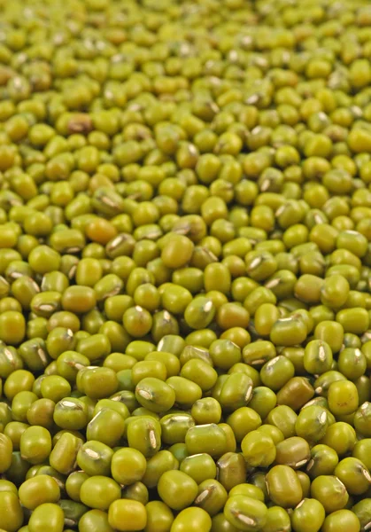 Seeds of green grams — Stockfoto