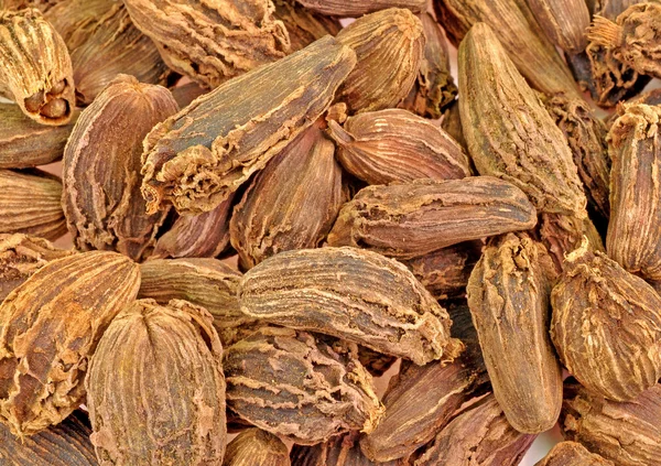 Pile of large cardamom — Stock Photo, Image