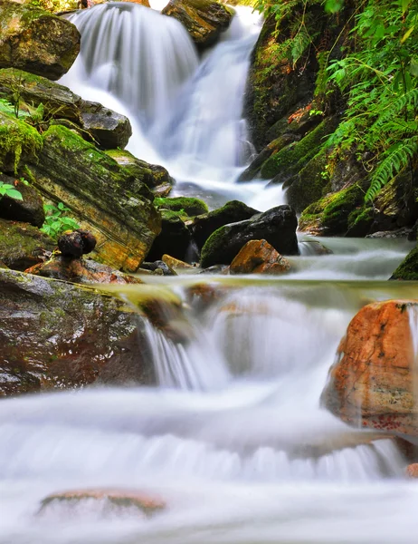 stock image Watrefall in jungle