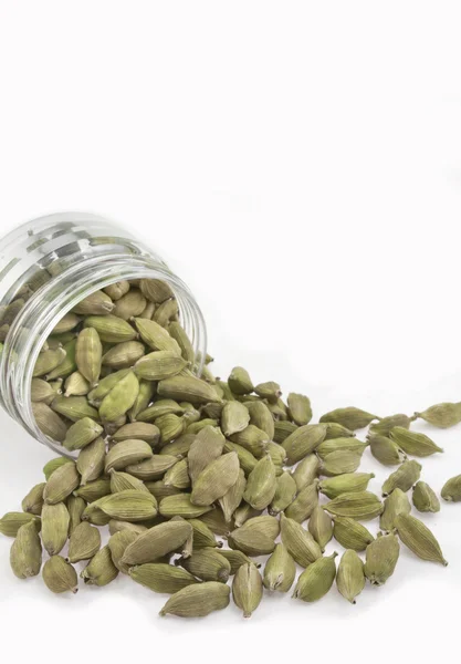 White cardamom in transparent container — Stock Photo, Image