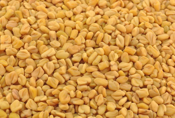 Pila de semillas de alholva — Foto de Stock