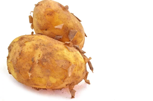 Vers geoogste aardappelen — Stockfoto