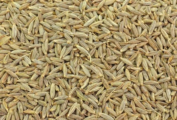 Mucchio di semi di cumino — Foto Stock