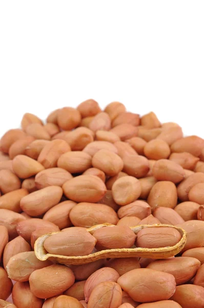 Split pod of peanut — Stock Photo, Image