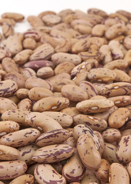 Pile of kidney bean — Stock Photo, Image