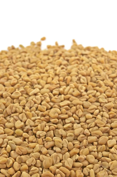 Pile of fenugreek seeds — Stock Photo, Image