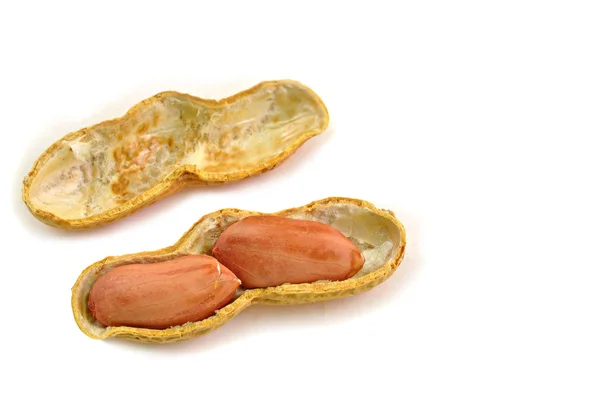 Open shell of peanut — Stock Photo, Image