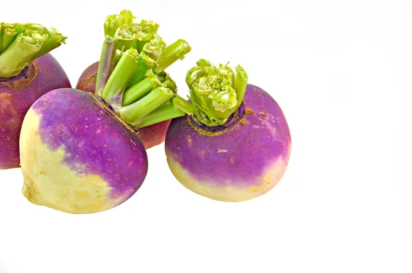 Assembly of fresh turnips — Stock Photo, Image