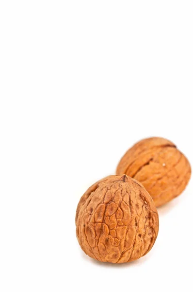 Pair of walnut — Stock Photo, Image