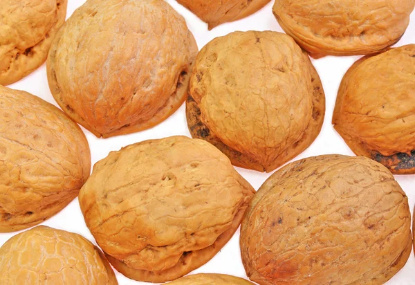 Пустые оболочки грецкого ореха — стоковое фото