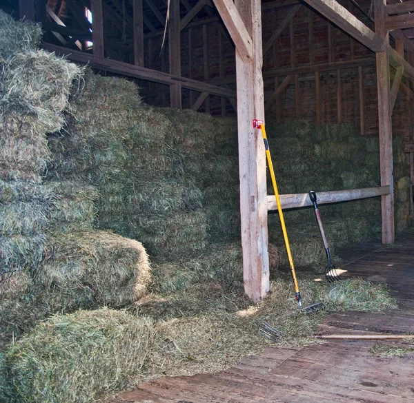 stock image Pitching Hay