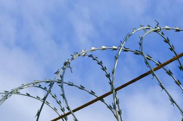 stock image Barbed wire against the blue sky