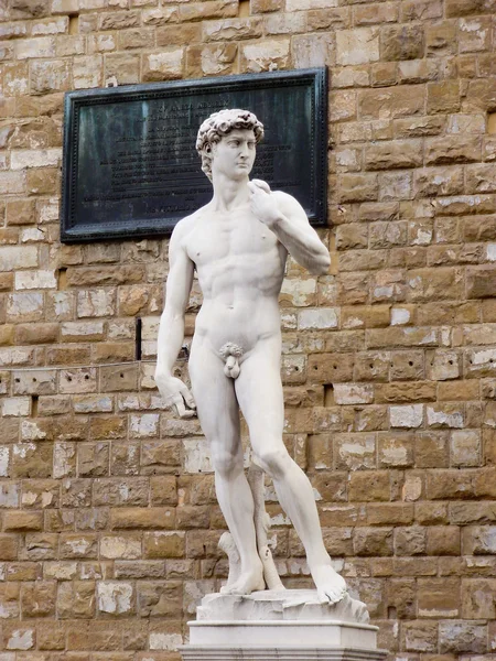 stock image Michelangelo's David