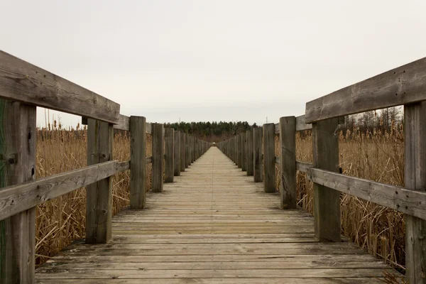 Boardwalk over a marsh — Stock Photo, Image