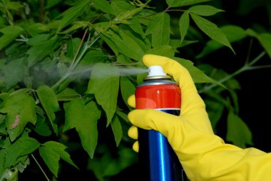 Pesticiding the garden clipart