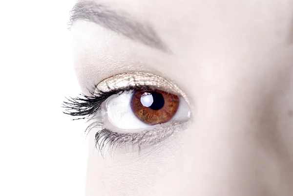 아름 다운 눈 — 스톡 사진