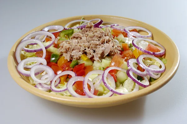 stock image Tuna salad