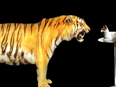 Tiger versus cat business concept clipart