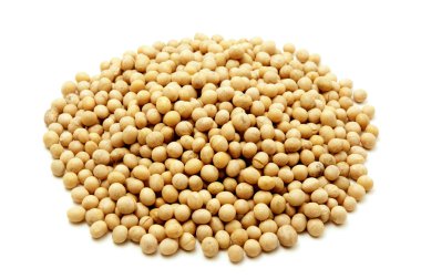 Yellow soybeans clipart